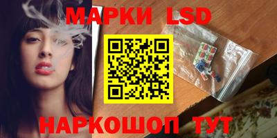 spice Заводоуковск