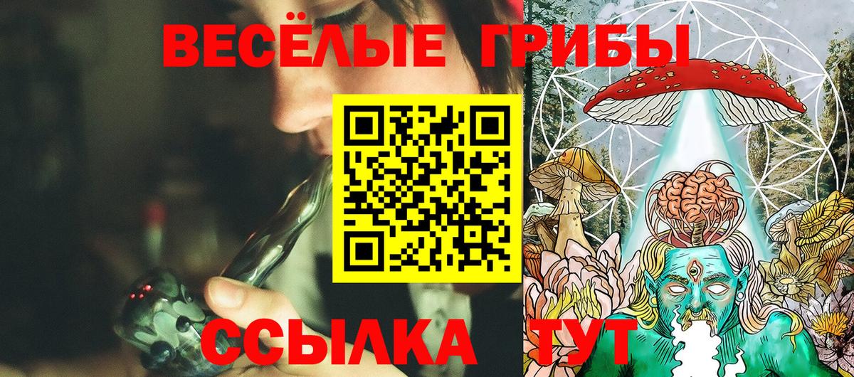 Галлюциногенные грибы Psilocybine cubensis Ликино-Дулёво